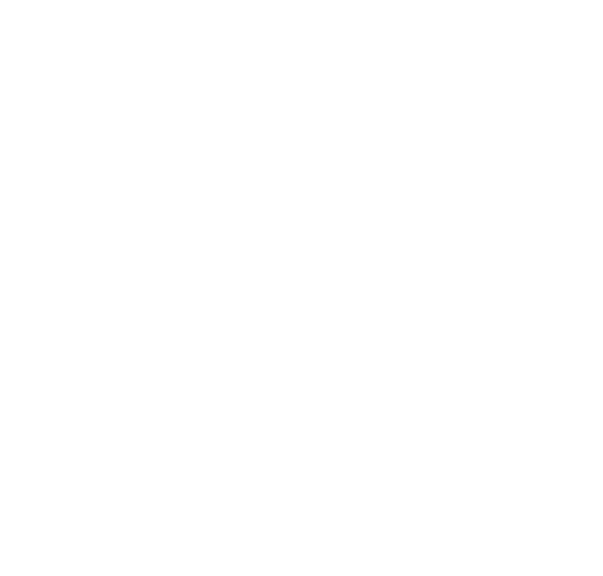 ACCADEMICA